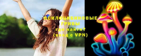 прущие грибы Алексин