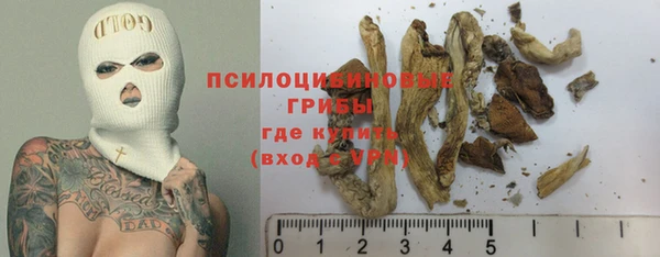 гидропоника Алзамай