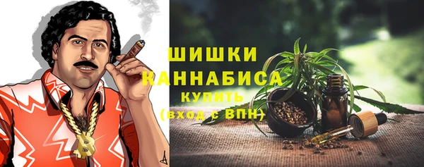 дмт Касимов