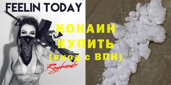 прущие грибы Алексин