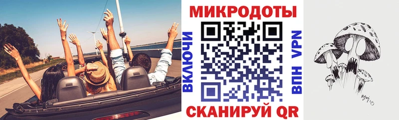 где найти   Андреаполь  shop клад  Галлюциногенные грибы GOLDEN TEACHER 