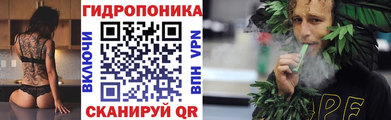 Шишки марихуана гибрид купить наркоту Андреаполь